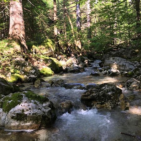 Cozy Private Cabin In The Heart Of Triglav National Park 特伦塔 外观 照片