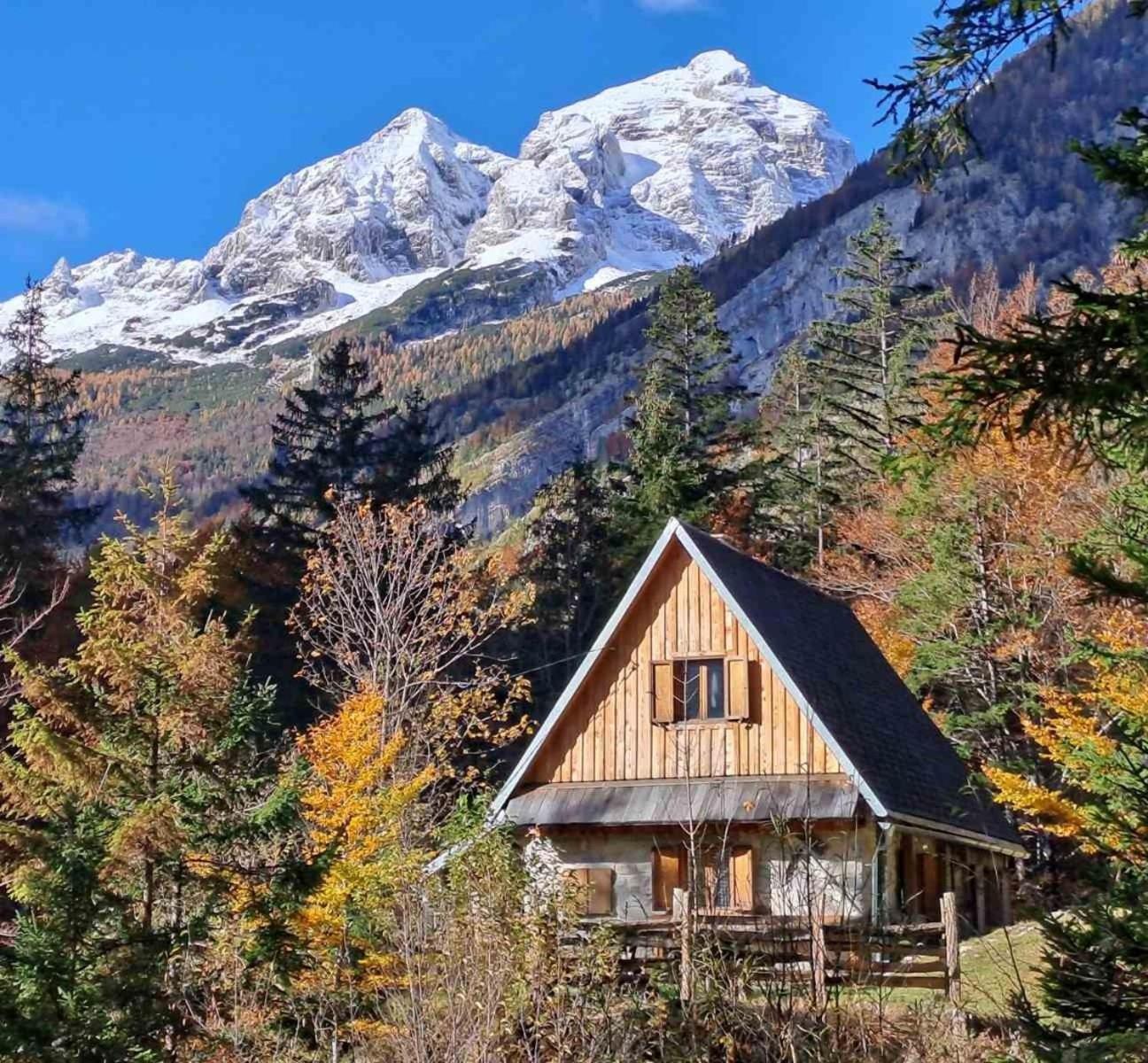 Cozy Private Cabin In The Heart Of Triglav National Park 特伦塔 外观 照片
